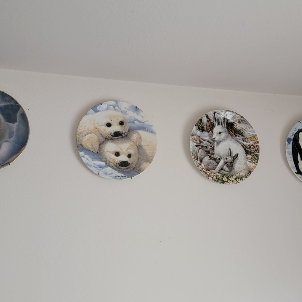 Hamilton collection collector animal plates. Been hanging in the office. 30